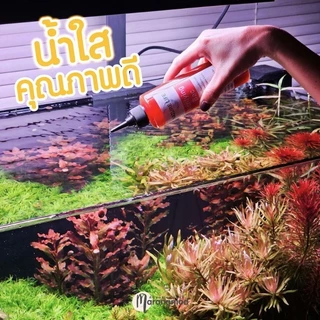 แบคทีเรียน้ำ Nitrifying Bac ย่อยสลายของเสีย ปรับสมดุลของระบบนิเวศ ทำให้คุณภาพน้ำดีขึ้น แบรนด์ Nature Life | Marangmod