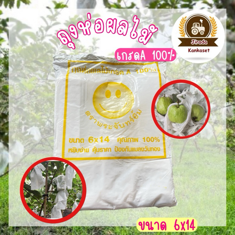 ถุงห่อฝรั่ง กันuv ถุงห่อผลไม้ กันแมลง มีรูระบายน้ำ ขนาด6*14