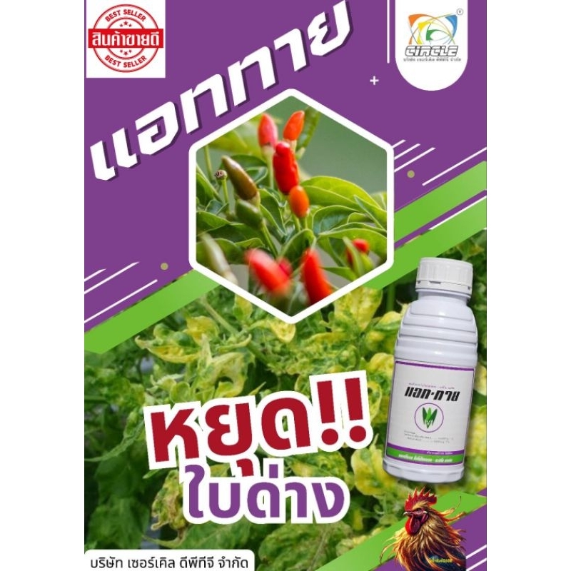 แอททาย ยาป้องกันไวรัสในพืชผักพริกถั่วแตง ป้องกันปัญหาใบเหลือง ใบหยิก ยอดไม่เดิน