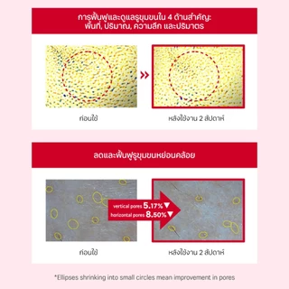[แพ็ค 4 แผ่น] Round Lab Camellia Deep Collagen Firming Gel Mask 34 g.