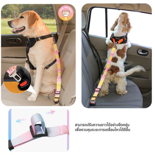 สายจูงสุนัข เข็มขัดนิรภัยสำหรับสัตว์เลี้ยง แบบยืดหยุ่นได้ พร้อมปลอกคอสุนัข A003 [6 สี]