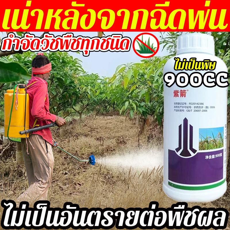 พิเศษสำหรับสวนผลไม้ ยาฆ่า หญ้า ย่าฆ่าหญ้า 900CC ทำให้รากหญ้าเน่าเปื่อยไม่เป็นอันตรายต่อพืชผลไม่เป็นอันตรายต่อดินยาฆ่าย่า