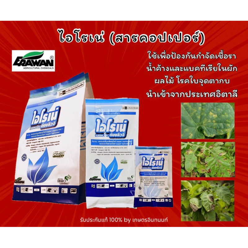 ไอโรเน่ (คอปเปอร์ออกซีคลอไรด์+คอปเปอร์ไฮดรอกไซด์) ป้องกันเชื้อราและแบคทีเรียในผักไม้ผล นำเข้าจากอิตาลี สินค้าพร้อมส่ง!