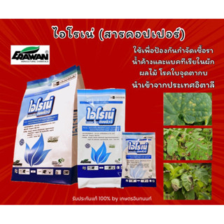 ไอโรเน่ (คอปเปอร์ออกซีคลอไรด์+คอปเปอร์ไฮดรอกไซด์) ป้องกันเชื…