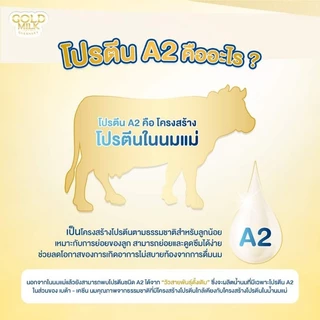 Gold milk โกลด์มิลค์เกิร์นซี่ ยกลัง 40 กล่อง ส่งฟรี❗