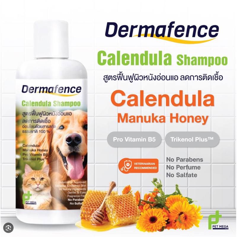 Dermafence Calendula Shampoo สูตรฟื้นฟูผิวหนังอ่อนแอ ลดการติดเชื้อ อ่อนโยนด้วยสารสกัดธรรมชาติของสุนัขและแมว [ขนาด 250ml]
