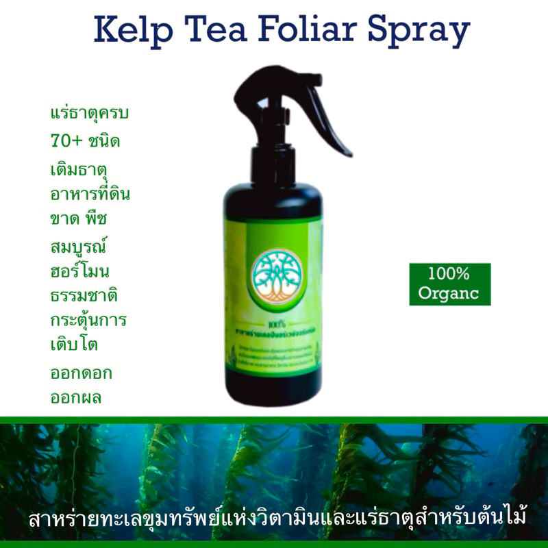 Kelp Tea Foliar Spray Fertilizer 100% Organic น้ำหมักสาหร่ายทะเล 300ml  สกัดเย็นมีประโยชน์สูงสุด พ่นทางใบ ต้นไม้ทุกชนิด ราคา ถูกที่สุด ดีลบีเคเค แกลเลอรีภาพที่ 2