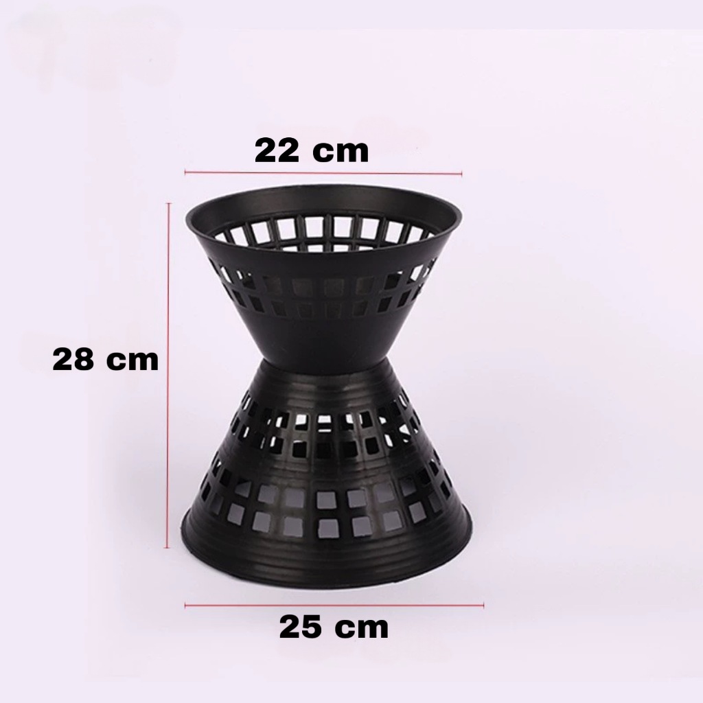 รูปภาพ 7