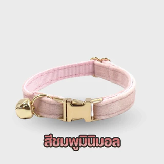 Pawlux pets ปลอกคอสัตว์เลี้ยงสลักชื่อฟรี สไตล์มินิมอลสแตนเลสแท้