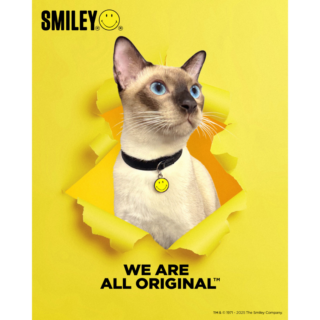 SMILEY®BLACK PET COLLAR WITH CHARM