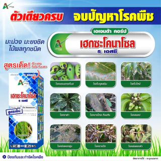 เฮกซะโคนาโซล 5 SC. (สูตรเย็น) ฉีดผ่าดอกได้ กำจัดโรคพืช โรคใบไหม้ ใบจุด แอนแทรคโนส กาบใบแห้ง เอเจนต้า คอร์ป 1 ลิตร