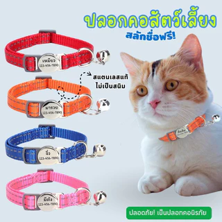 pawlux pets ปลอกคอนิรภัย กำหนดชื่อได้ สแตนเลสแท้ไม่เป็นสนิม แกะสลักฟรี พร้อมกระดิ่ง ร้านไทยส่งไว