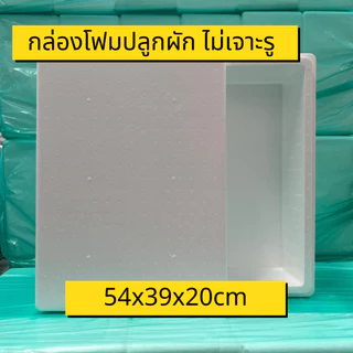 กล่องโฟมปลูกผัก แพ็ค6ใบ กล่องโฟมปลูกผักไฮโดรโปนิกส์ กล่องโฟม