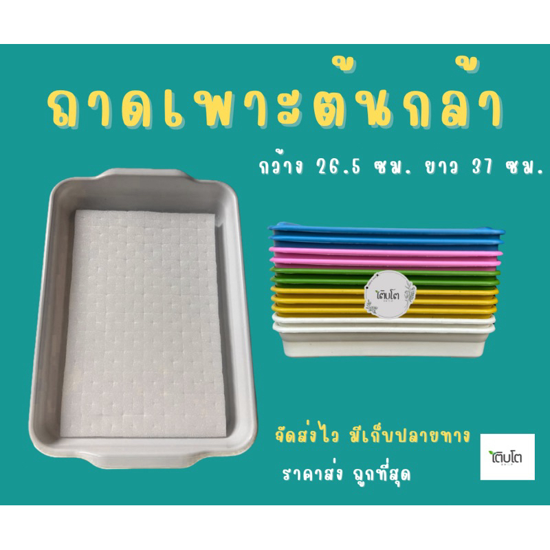 ถาดเพาะต้นกล้าไฮโดรโปนิกส์ ถาดใส่ฟองน้ำได้พอดี ถาดอเนกประสงค์