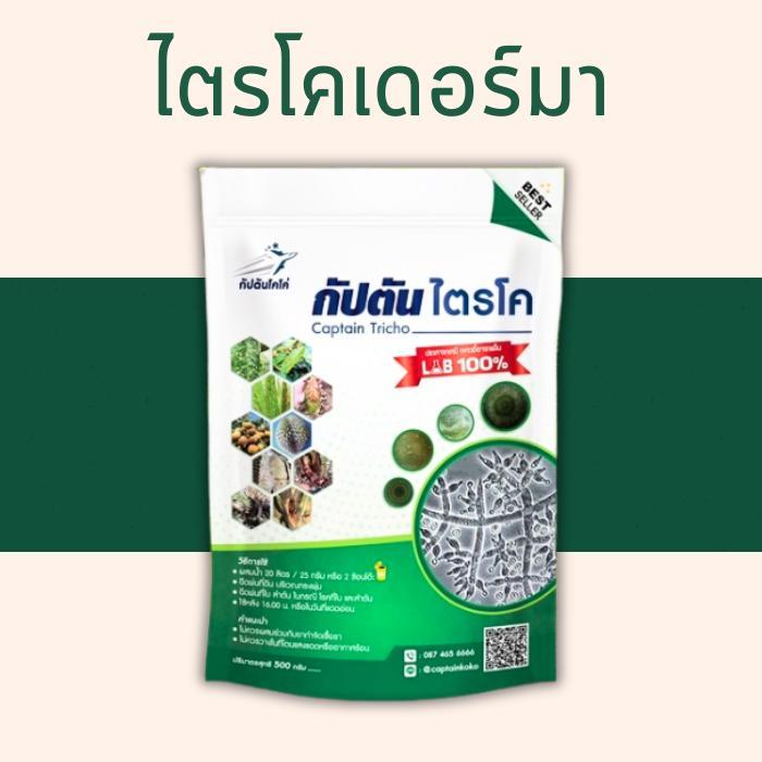 (ชุด5ซอง) ไตรโคเดอร์มา กัปตันไตรโค ป้องกันกำจัดเชื้อราในพืช (1ซอง500กรัม)