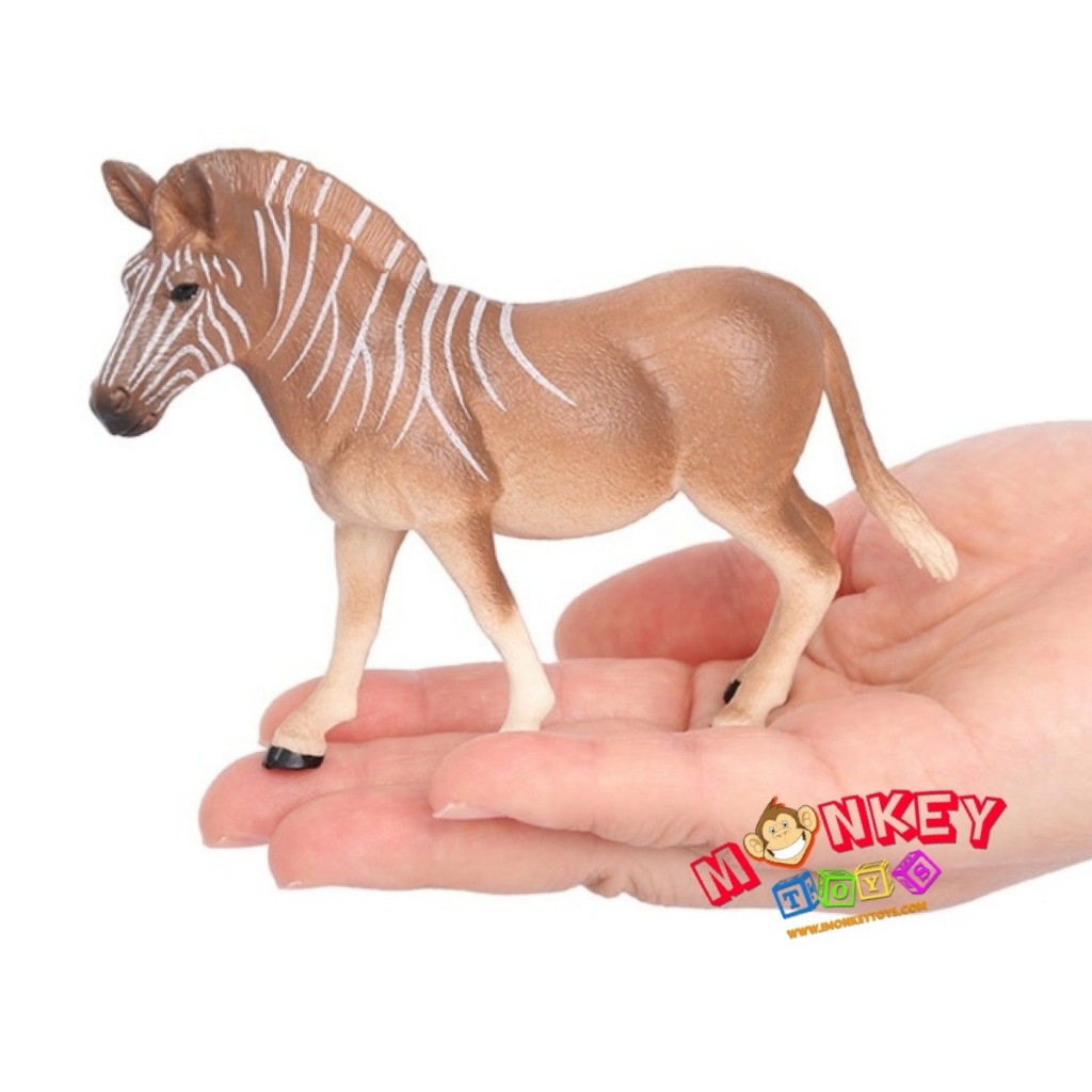 Monkey Toys - โมเดลสัตว์ Quagga ม้าลาย ควากกา ขนาด 12.50 CM (จากหาดใหญ่)