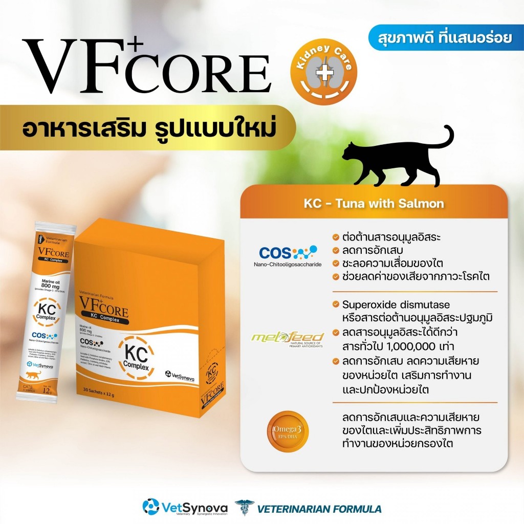 🧡(30ซอง) VF core กล่องสีส้ม KC Complex อาหารเสริมแมวเลีย  สำหรับน้องแมว 1 กล่อง 🧡