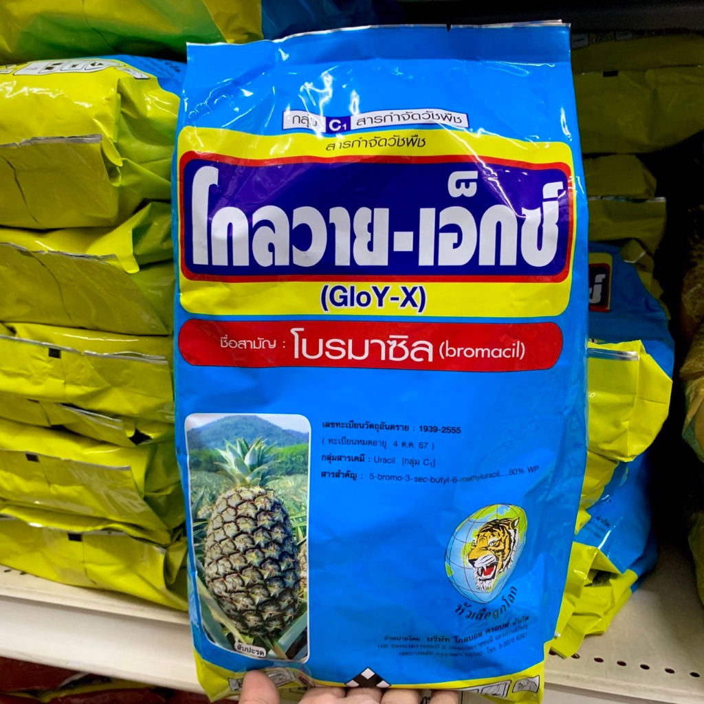 โกลวาย - เอ็กซ์ โบรมาซิล 1 กิโลกรัม