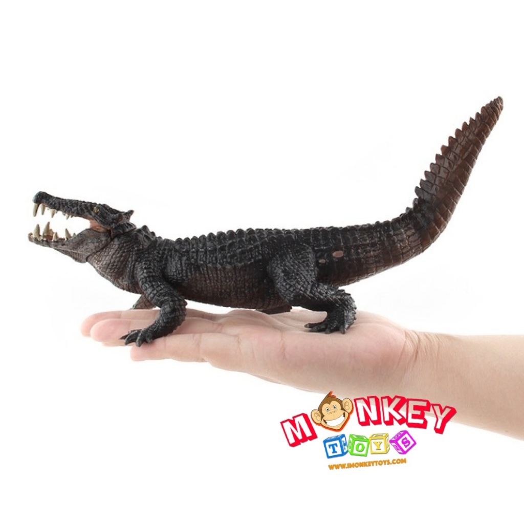 Monkey Toys - โมเดลสัตว์ Crocodile จระเข้ น้ำตาลดำ ขนาด 25.00 CM (จากหาดใหญ่)