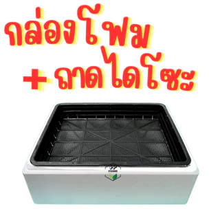 ชุดกล่องโฟม พร้อมถาดไดโซะ ชุดกล่องโฟมพร้อมถาดไดโซะ ชุดพร้อมปลูกผักไฮโดรโปนิกส์