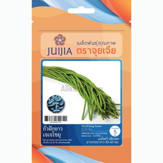 เมล็ดพันธุ์ถั่วฝักยาวเมล็ดดำ เจเจโชยุ ตราจุยเจีย