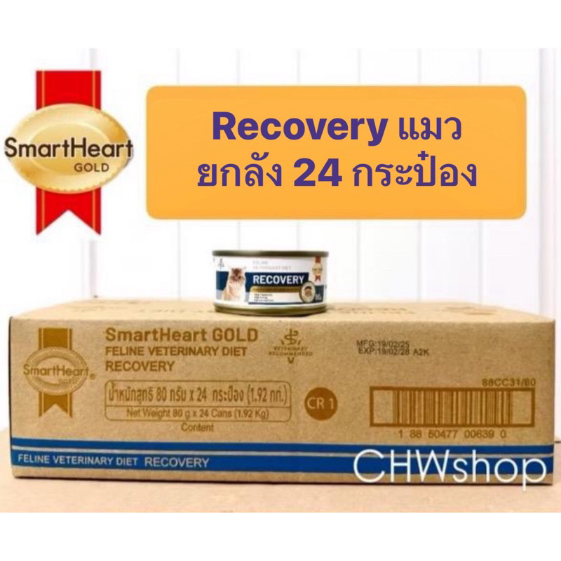 แมว ‼️ยกลัง 24 กระป๋อง‼️Recovery Cat SmartHeart อาหารพักฟื้นแมวป่วย 80g