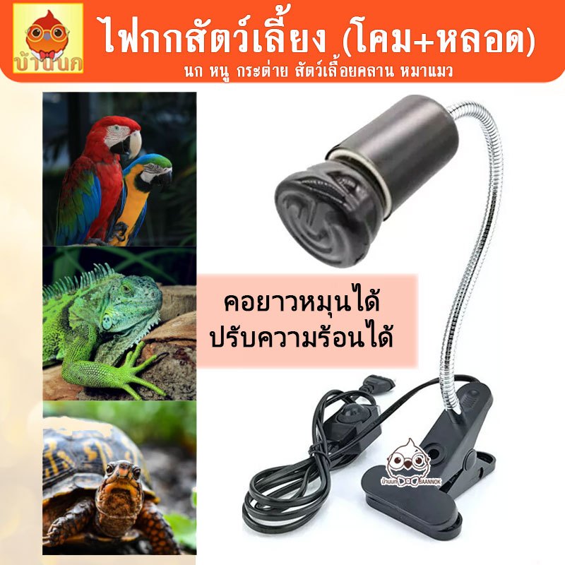 ไฟกกสัตว์เลี้ยง (โคม+หลอด) Ceramic Heating Lamp หลอดไฟให้ความร้อน หลอดไฟเซรามิก นก เต่า กระกรอก ชูก้า กระต่าย สุนัข แมว