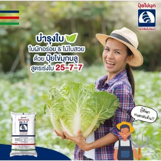 ปุ๋ย 25-7-7 ตราเรือใบไข่มุก แบบตักแบ่ง บำรุงต้น บำรุงใบ เร่งการแตกยอด ไนโตรเจนสูง ปุ๋ยเม็ดสีฟ้า พร้อมส่ง จัดส่งไว