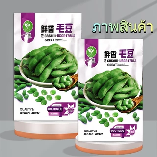 50 เมล็ดเมล็ดพันธุ์ถั่วแระญี่ปุ่น เมล็ดถั่วแระ นำเข้า สายพันธุ์แท้ ให้ผลผลิตเร็วผลดกทำพันธุ์ต่อได้