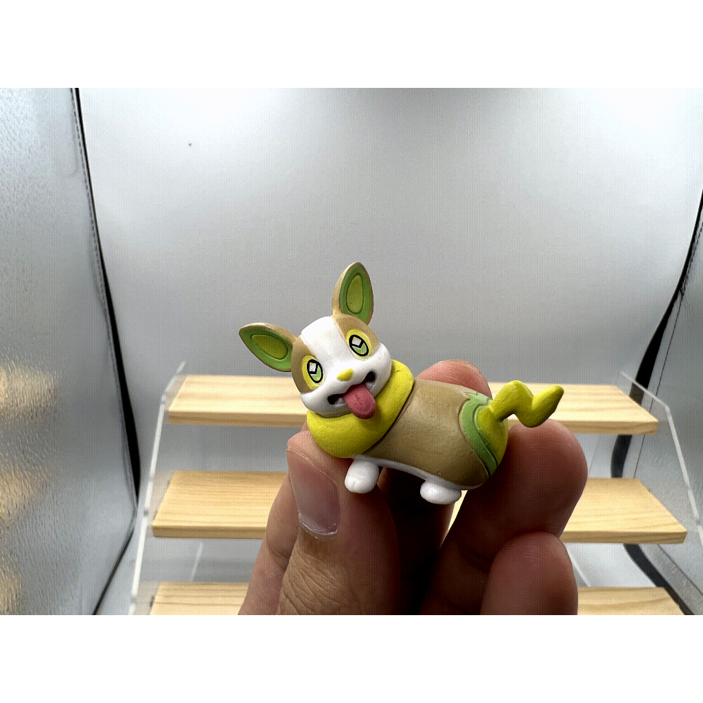 Pokemon T-A.R.T.S : Yamper
