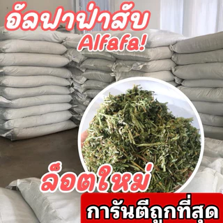 🎉best 1st🎉 อัลฟาฟ่าสับ ออสเตรเลีย ฝุ่นน้อย 5กก ขายดี