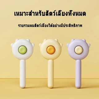 PET Assistant 🔥🔥🔥ล่าสุดหวีแปรงขนสัตว์เลี้ยง มีปุ่มดันขนออก หวีสางเหา ซี่หวีเข้ารหัสเหมาะสำหรับแมวและสุนัข หวีสางไข่เหา