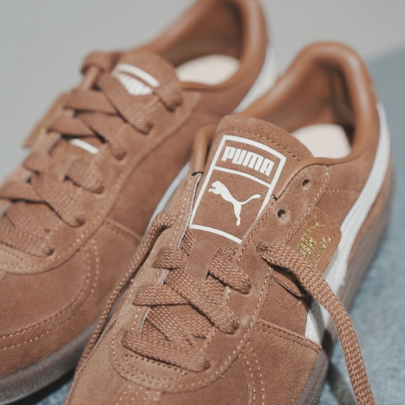 ✨สินค้าของแท้ 100% ขายร้อน💥PUMA Palermo Anti Slip Wear Resistant Low Top Skateboard Shoes Unisex Brown 396463-56