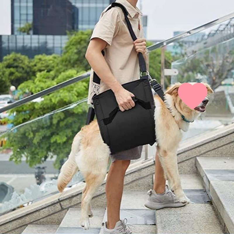 weleda1 ผ้าพยุงสัตว์เลี้ยง แบบยกทั้งตัว สายรัดพยุงสุนัขสําหรับขาหลังอุปกรณ์สัตว์เลี้ยงสําหรับสุนัขเดิน