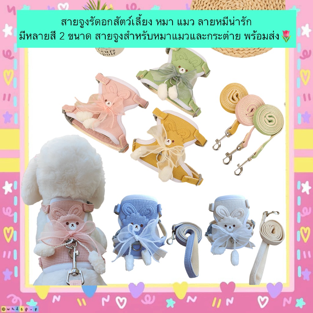 MG-500 สายจูงรัดอกสัตว์เลี้ยง ลายหมีน่ารัก สำหรับหมา แมว กระต่าย มาพร้อมสายจูงในตัว ปรับขนาดได้ ใส่ง่าย สวมสบาย