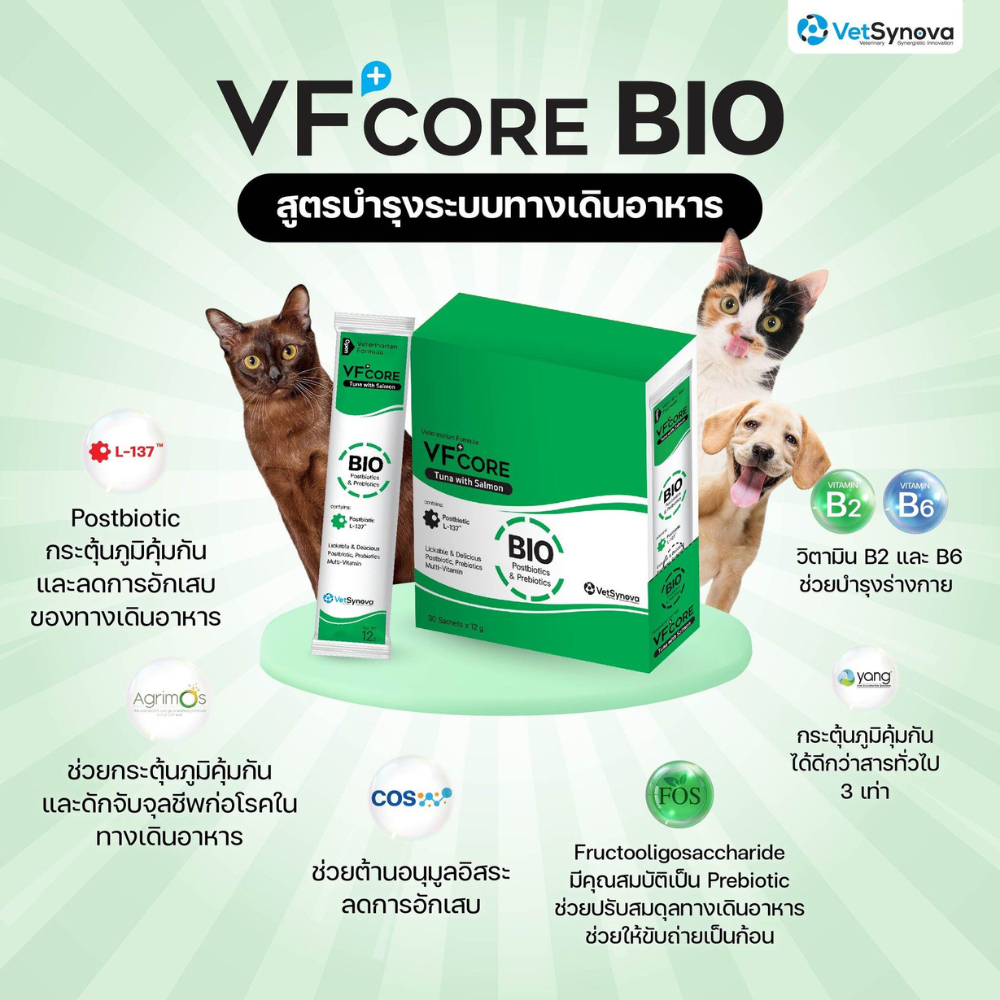 💚  (30ซอง)  VF core BIO สีเขียวมรกต อาหารเสริมแมวเลีย  สำหรับน้องแมว 1 กล่อง  💚