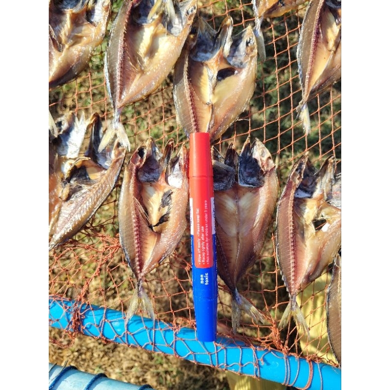 ปลาทูแขก ปลาทูมัน ตัวละ2บาท ตากแห้ง หอมอร่อยทอดกรอบทานได้ทั้งตัว - รูปที่ 3