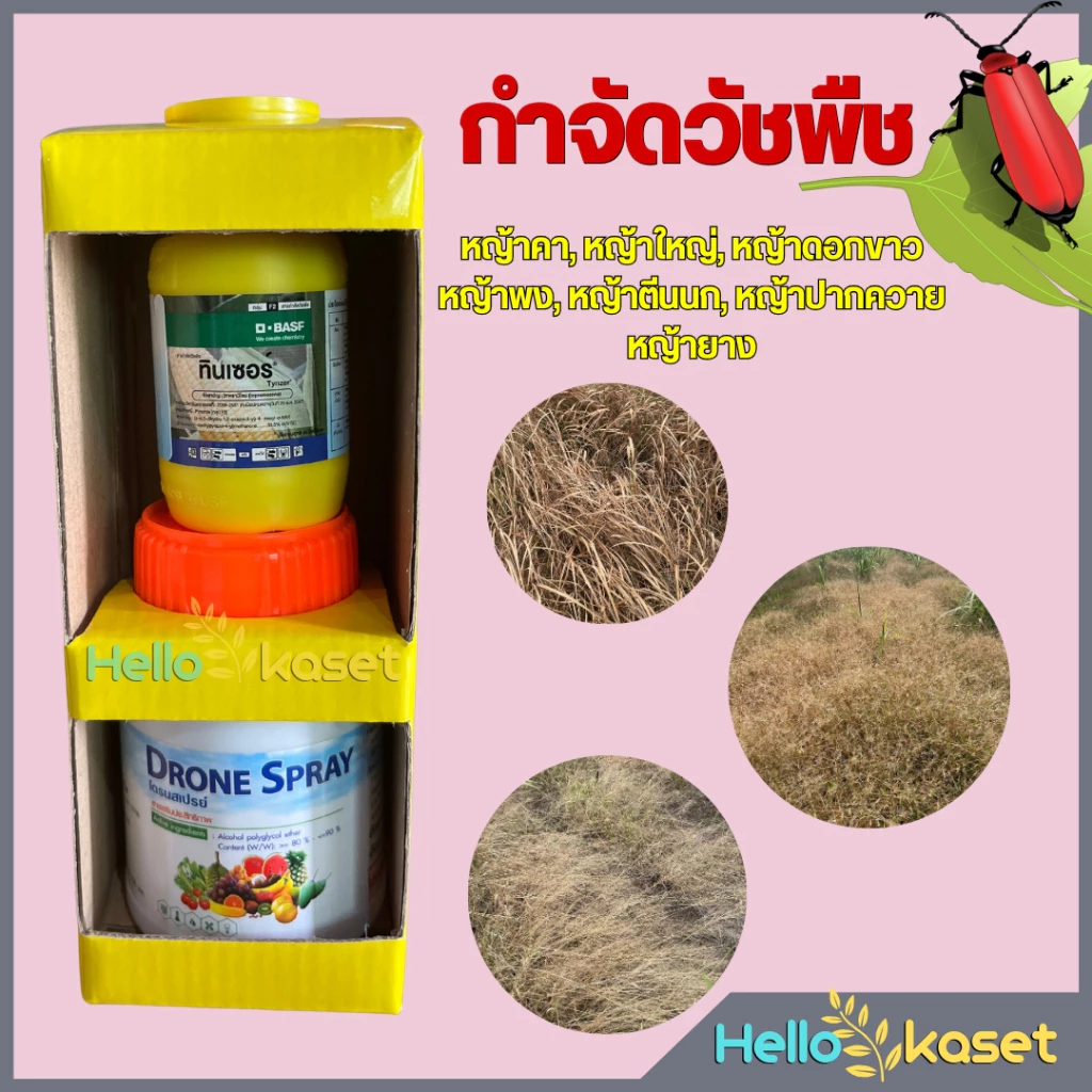 สารกำจัดวัชพืช ทินเซอร์ ขนาด50 ซีซี + โดรนสเปรย์ 100 ซีซี กำจัดได้ทั้ง ใบแคบ ใบกว้าง