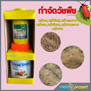 สารกำจัดวัชพืช ทินเซอร์ ขนาด50 ซีซี + โดรนสเปรย์ 100 ซีซี กำจัดได้ทั้ง ใบแคบ ใบกว้าง