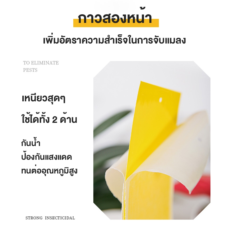 100 ใบ แผ่นกาวดักแมลง (สีเหลือง) กาวดักแมลงวัน มีกาวในตัว มีให้เลือกหลายขนาด  กับดักแมลงกินผัก แมลงทำลายผลผลิต ดักแมลงศั - รูปที่ 2