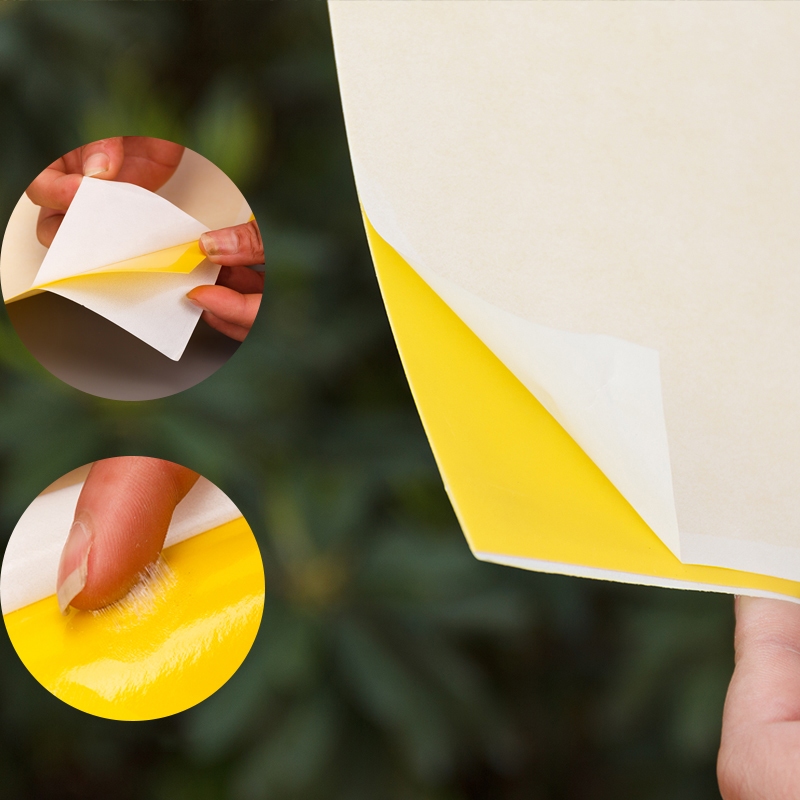 100 ใบ แผ่นกาวดักแมลง (สีเหลือง) กาวดักแมลงวัน มีกาวในตัว มีให้เลือกหลายขนาด  กับดักแมลงกินผัก แมลงทำลายผลผลิต ดักแมลงศั - รูปที่ 3