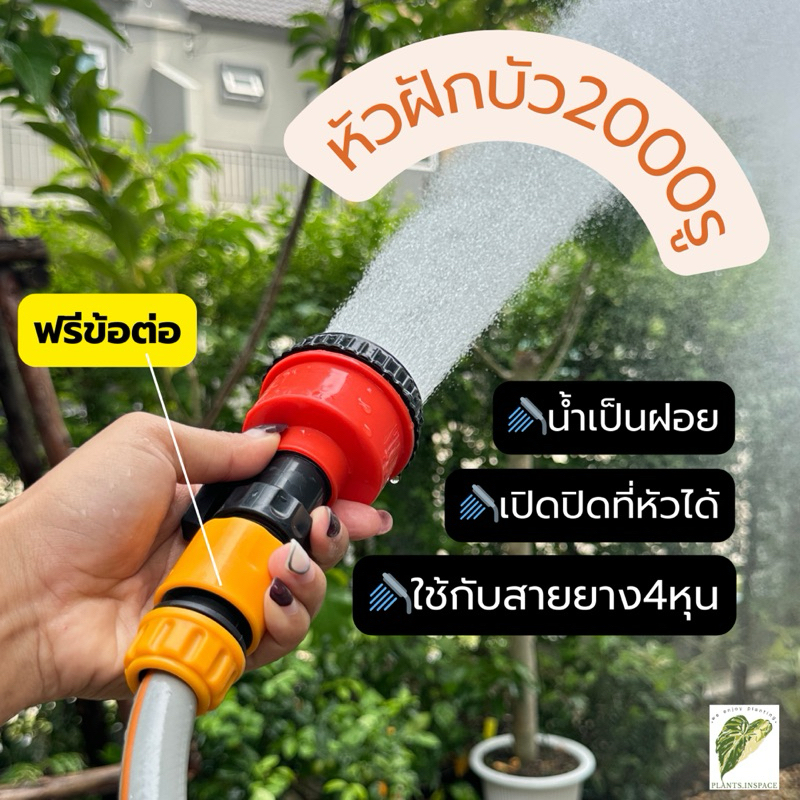 📌พร้อมส่ง🚿หัวฝักบัว2000รู ฝักบัวรดน้ำ💦 หัวฝักบัวให้กับสายยาง4หุน💦ฝักบัวรดน้ำต้นไม้