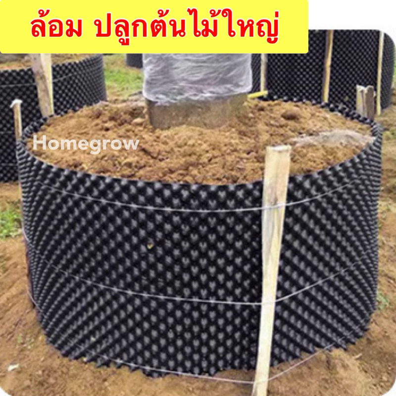 วงล้อมต้นไม้ กระถางแอร์พอร์ต กระถางAirpot ขนาดใหญ่ - รูปที่ 2