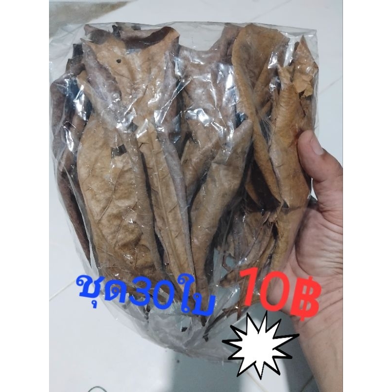 ใบหูกวางแห็งๆราคาถูกๆใช้กันแบบคุ้มๆกระสอบละ10฿ถ้าอยากได้เยอะๆก็สั่งหลายๆชิ้นนะครับมีแถม