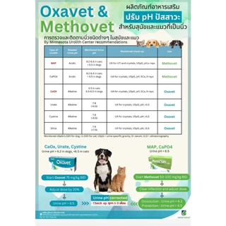 Methovet Oxavet 🔥Exp.2027 อาหารเสริมลดการเกิดนิ่ว สลายนิ่ว ปรับค่า pH ในกระเพาะปัสสาวะ สำหรับสุนัข และแมว