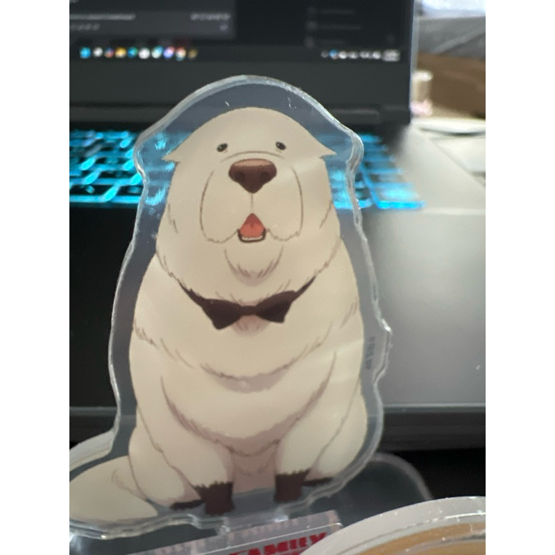 หมาบอนด์ sukiya ตั้งโชว์ในห้อง spy family