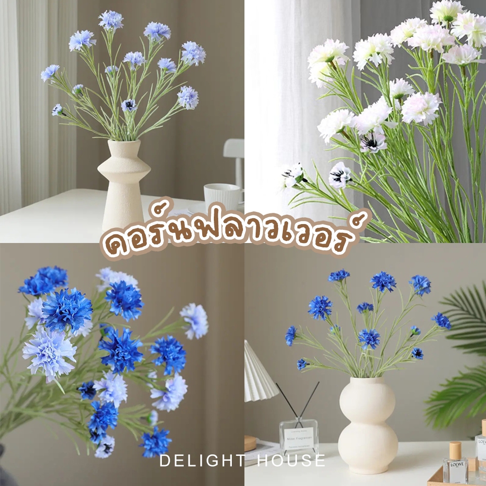 [ร้านไทย]  ดอกคอร์นฟลาวเวอร์ 🌈 Cornflower คอร์นฟลาวเวอร์ สวยเหมือนจริง ก้านมีขนอ่อนๆ ดอกไม้ตกแต่งบ้าน