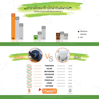 ไก่ดำ กินดีฟาร์ม 💥พร้อมส่ง‼️ไก่ดำแช่แข็ง ระดับ Premium ปลอดสาร 100% น้ำหนักตัวละ 500กรัม - 1กก.
