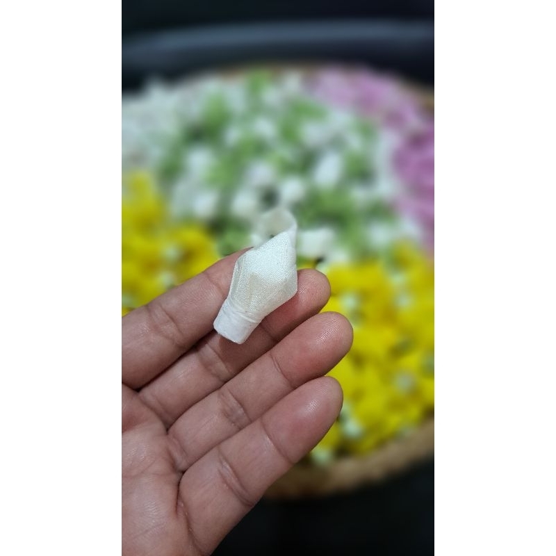 ดอกข่าตูม ดอกข่าผ้า ตูมอวบสวย รูปที่ 7