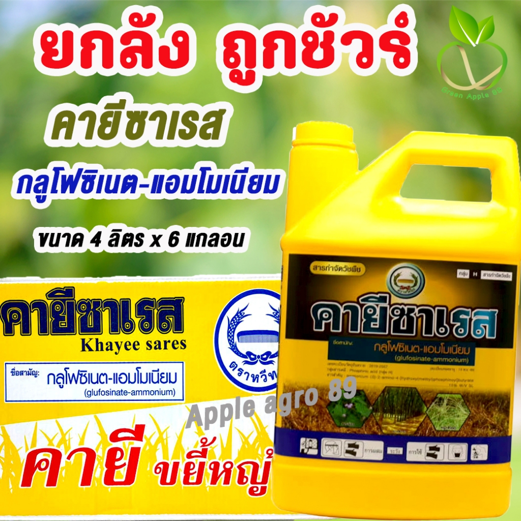 🎁ยกลัง ถูกชัวร์ คายีซาเรส กลูโฟซิเนต หวีทอง  ขนาด 4 ลิตร x 6 ขวด กลูโฟ มาคายี กลูโฟยกลัง กลูโฟซิเนตแอมโมเนียม